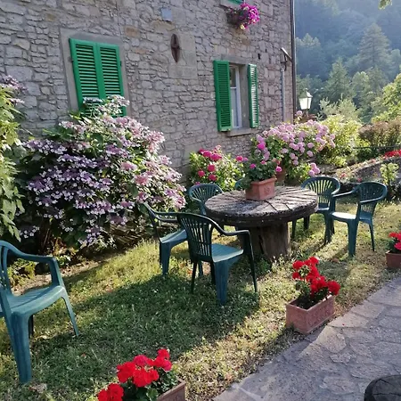 Bellavista