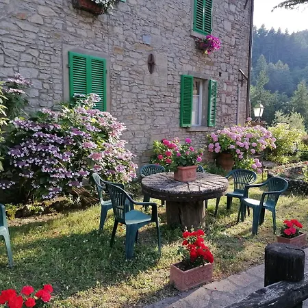 Hotel Bellavista *